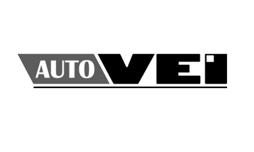 AutoVei,truck explorer,ECM lite